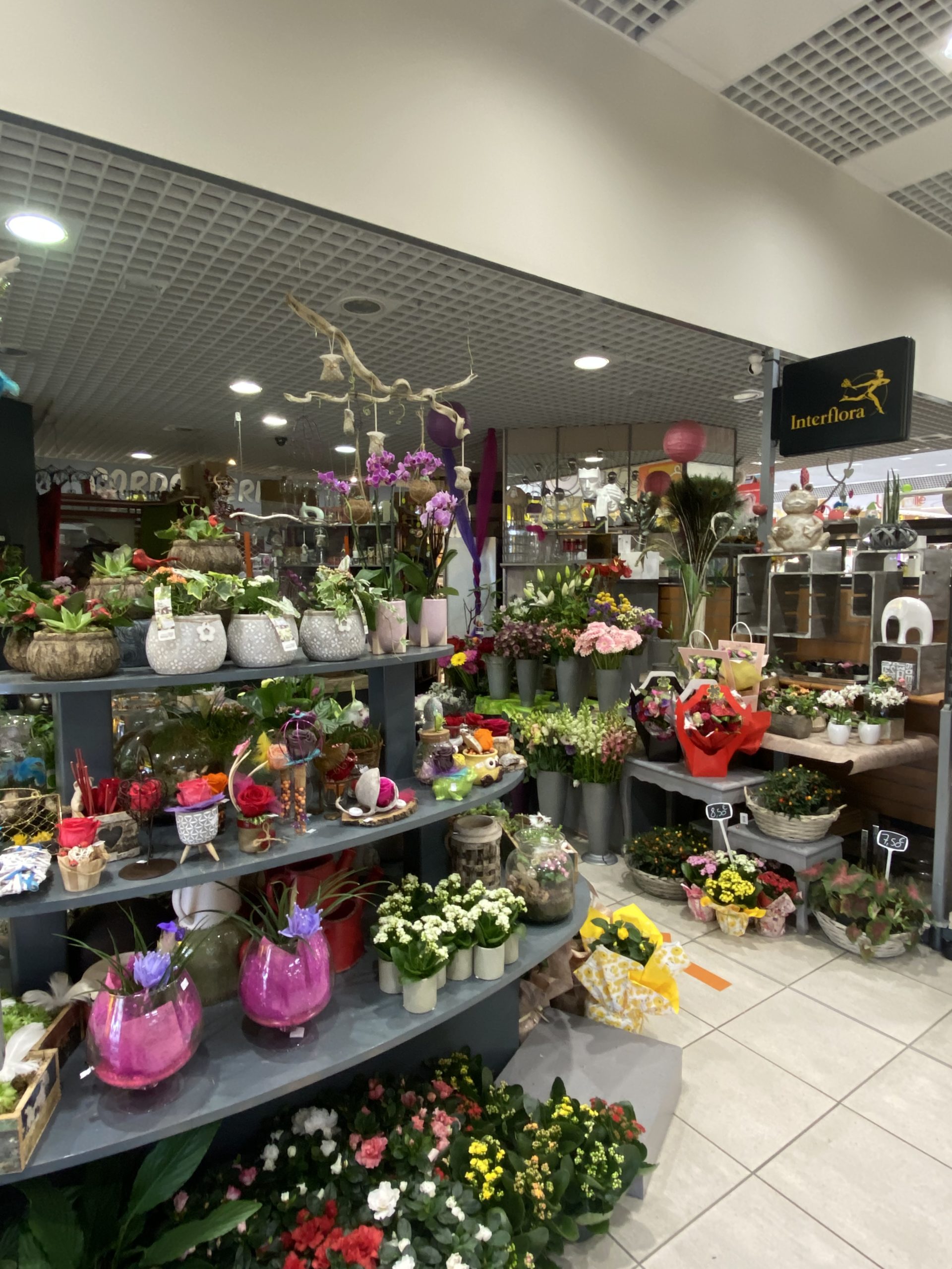 Aujourd’hui une fleur