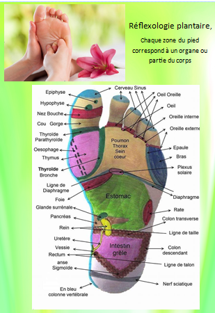 les bienfaits de la reflexo visuel 3 - reflexologie-et-bien-etre