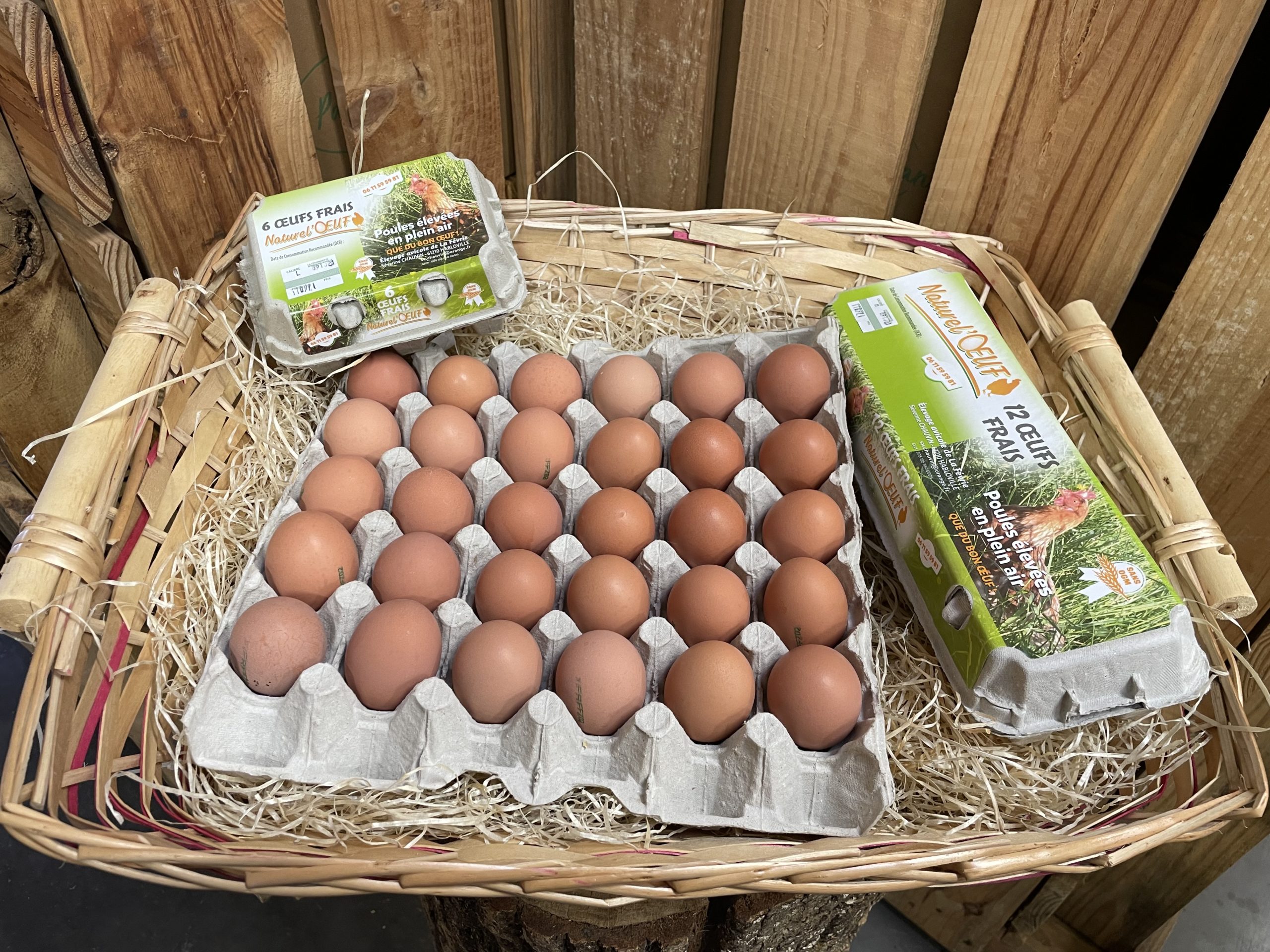 oeufs-plein-air-la-halte-paysanne-2